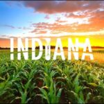 Indiana Department of Agriculture: Cultivating Prosperity and Sustainability